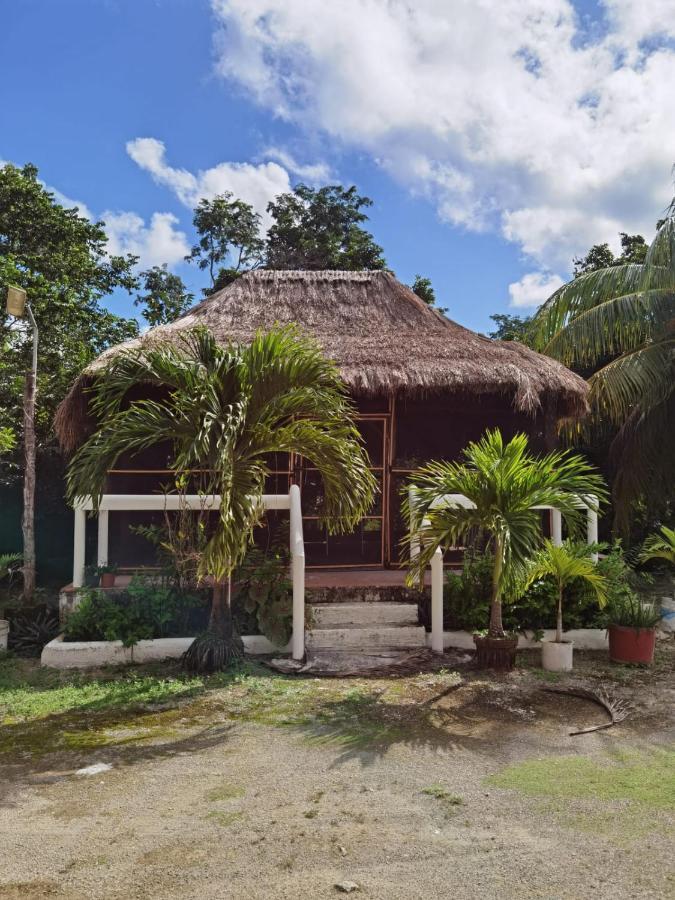 Paradise Ranch Cozumel Exterior photo